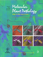Molecular Plant Pathology – Noir 2009
